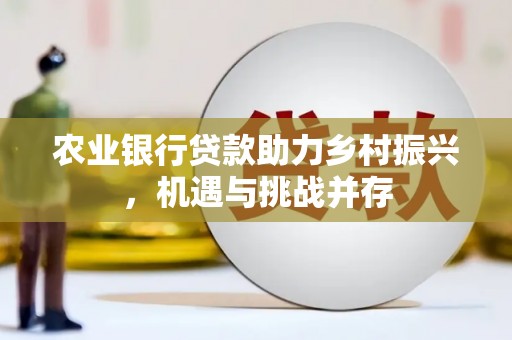 云霄农业银行贷款助力乡村振兴，机遇与挑战并存