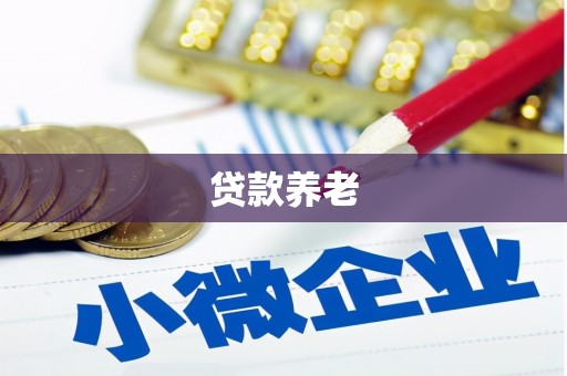 云霄贷款养老