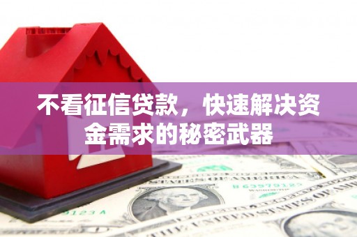 云霄不看征信贷款，快速解决资金需求的秘密武器
