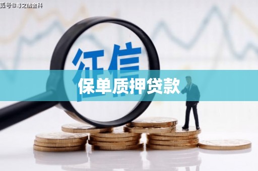 云霄保单质押贷款