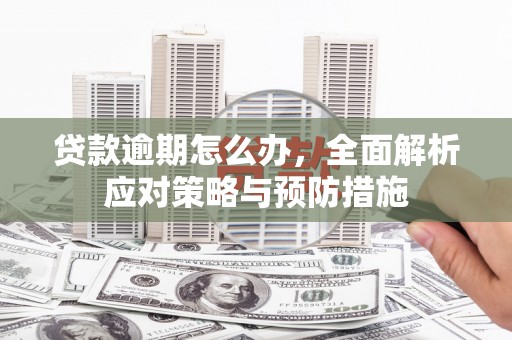 云霄贷款逾期怎么办，全面解析应对策略与预防措施