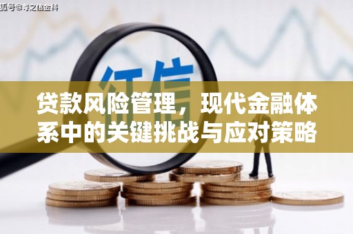 云霄贷款风险管理，现代金融体系中的关键挑战与应对策略
