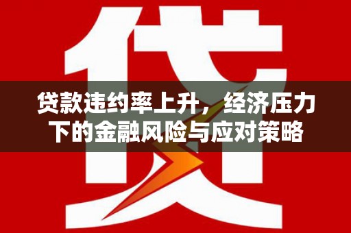 云霄贷款违约率上升，经济压力下的金融风险与应对策略