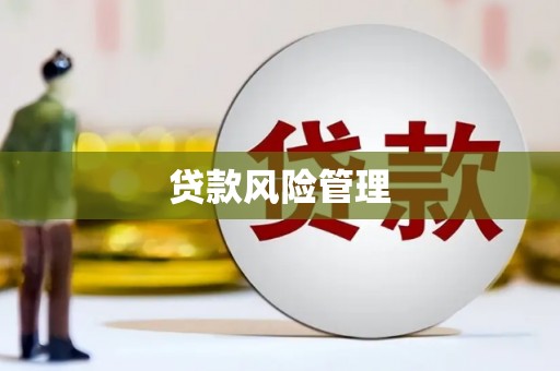 云霄贷款风险管理
