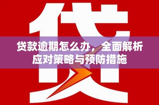 云霄贷款逾期怎么办，全面解析应对策略与预防措施