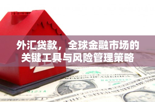 云霄外汇贷款，全球金融市场的关键工具与风险管理策略