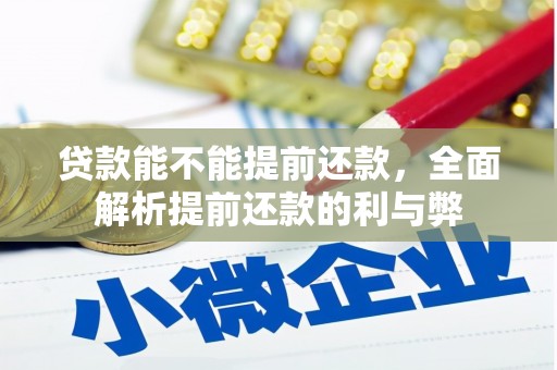 云霄贷款能不能提前还款，全面解析提前还款的利与弊