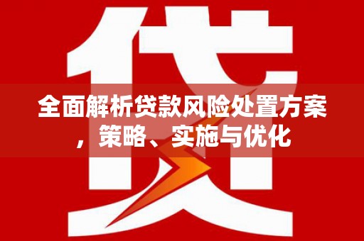云霄全面解析贷款风险处置方案，策略、实施与优化