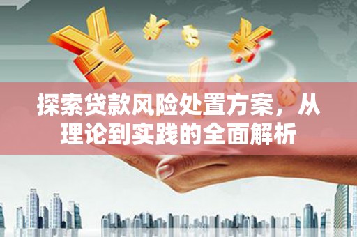 云霄探索贷款风险处置方案，从理论到实践的全面解析