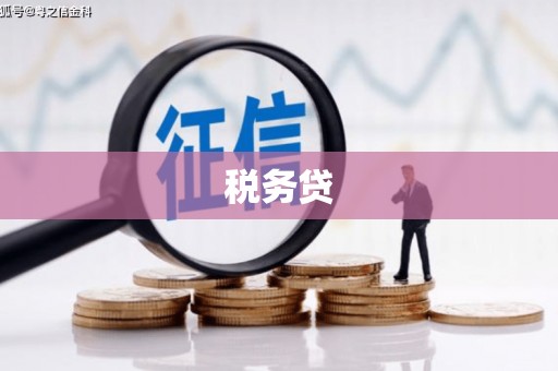 云霄税务贷