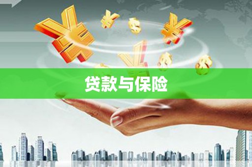 云霄贷款与保险