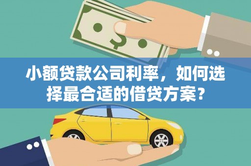 云霄小额贷款公司利率，如何选择最合适的借贷方案？