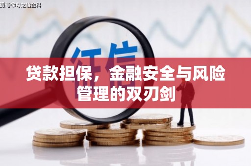 云霄贷款担保，金融安全与风险管理的双刃剑