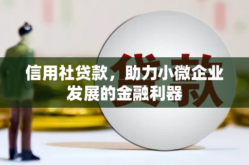 云霄信用社贷款，助力小微企业发展的金融利器