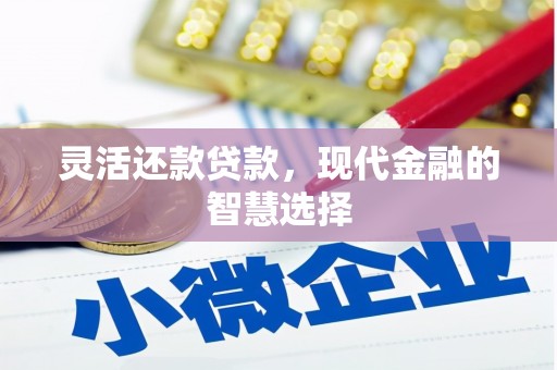 云霄灵活还款贷款，现代金融的智慧选择