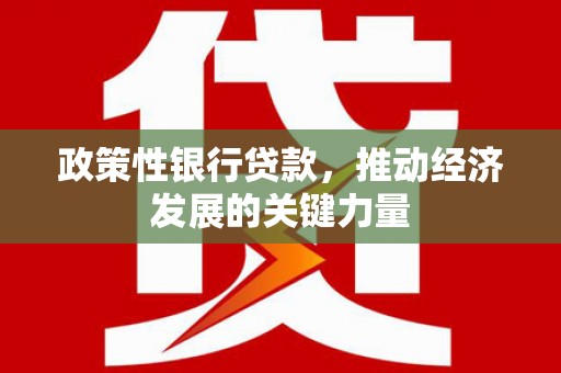 云霄政策性银行贷款，推动经济发展的关键力量