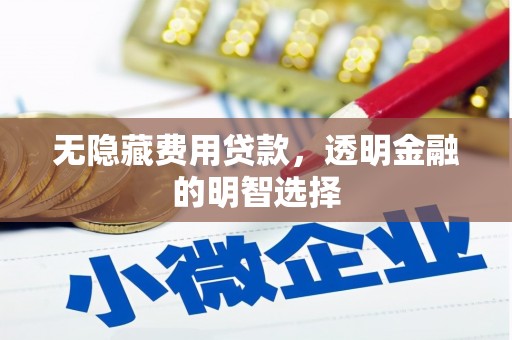 云霄无隐藏费用贷款，透明金融的明智选择