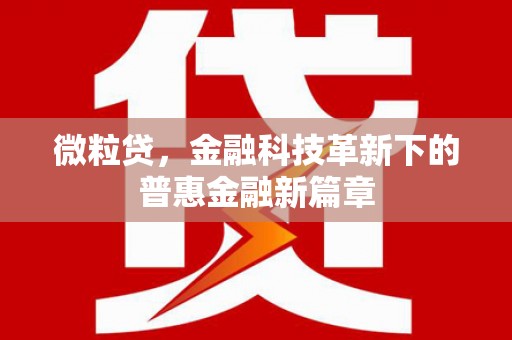 云霄微粒贷，金融科技革新下的普惠金融新篇章