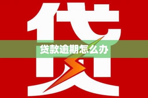 云霄贷款逾期怎么办