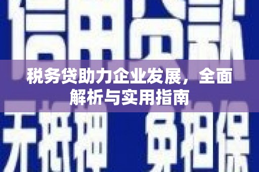 云霄税务贷助力企业发展，全面解析与实用指南
