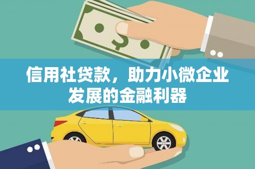 云霄信用社贷款，助力小微企业发展的金融利器
