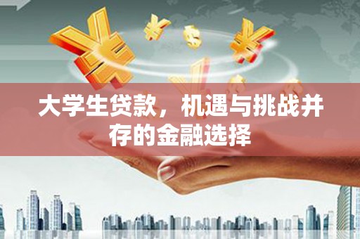 云霄大学生贷款，机遇与挑战并存的金融选择