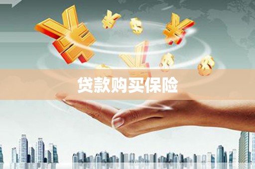 云霄贷款购买保险