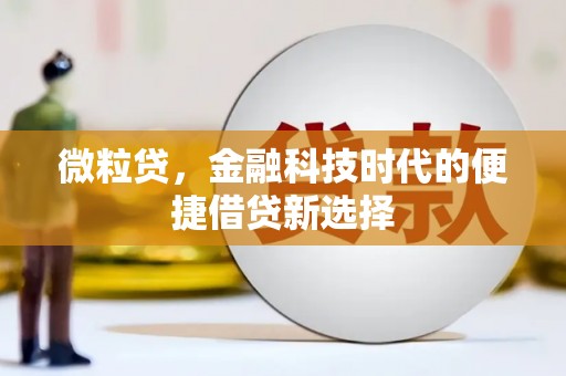 云霄微粒贷，金融科技时代的便捷借贷新选择