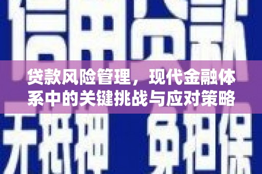 云霄贷款风险管理，现代金融体系中的关键挑战与应对策略