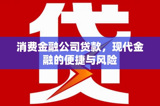 云霄消费金融公司贷款，现代金融的便捷与风险