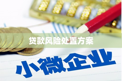 云霄贷款风险处置方案