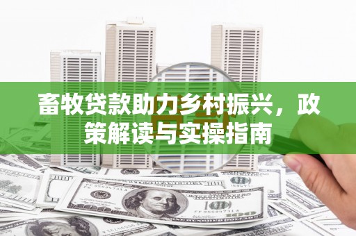 云霄畜牧贷款助力乡村振兴，政策解读与实操指南