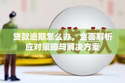 云霄贷款逾期怎么办，全面解析应对策略与解决方案