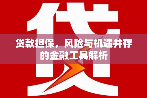 云霄贷款担保，风险与机遇并存的金融工具解析