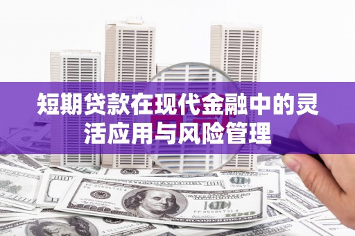 云霄短期贷款在现代金融中的灵活应用与风险管理