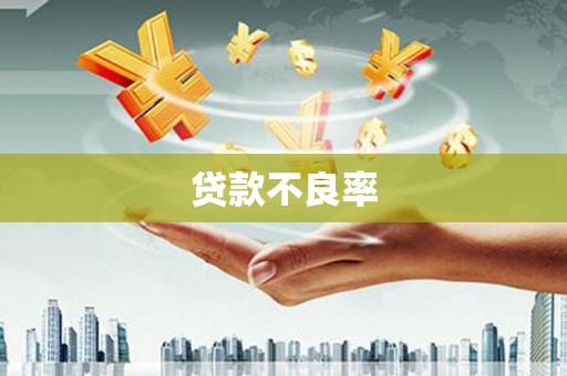 云霄贷款不良率