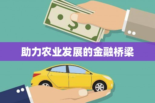 云霄助力农业发展的金融桥梁
