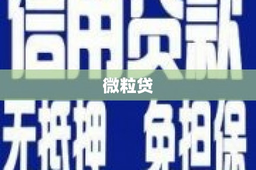 云霄微粒贷