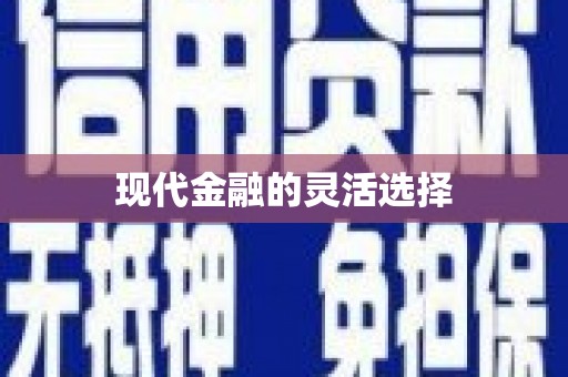 云霄现代金融的灵活选择