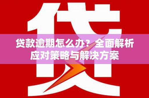 云霄贷款逾期怎么办？全面解析应对策略与解决方案