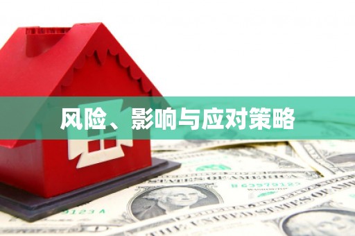 云霄风险、影响与应对策略