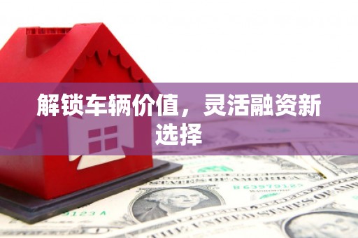 云霄解锁车辆价值，灵活融资新选择