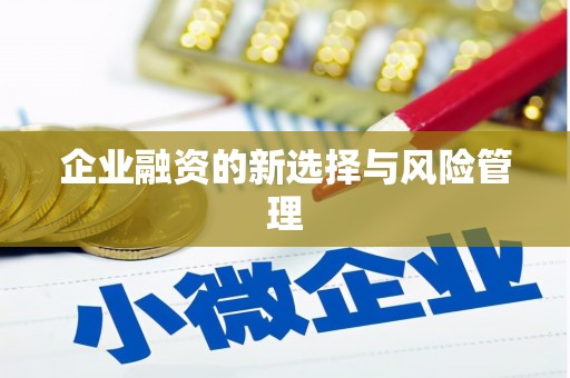 云霄企业融资的新选择与风险管理