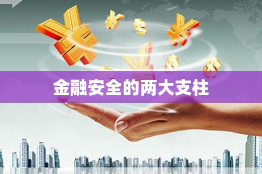 云霄金融安全的两大支柱