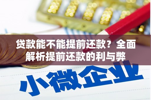云霄贷款能不能提前还款？全面解析提前还款的利与弊
