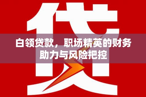 云霄白领贷款,职场精英的财务助力与风险把控 云霄白领贷款,职场精英的财务助力与风险把控