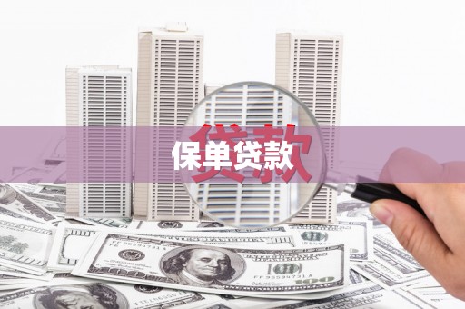 云霄保单贷款